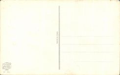 CPA Fantaisie Fleurs Roses Fer a cheval