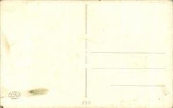 CPA Fantaisie Fleurs Bonne fete maman