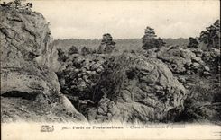 CPA Fontainebleau Foret Chaos et mastodontes d'Apremont 