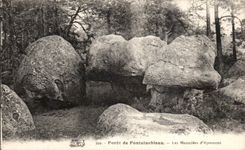CPA Fontainebleau Foret Les mausolees d'Apremont 