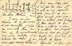 CPA Fontainebleau Jardins du palais Fontaine de Diane 