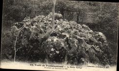 CPA Fontainebleau Foret la roche eponge