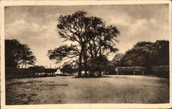 CPA Fontainebleau Foret Carrefour de la table du roi