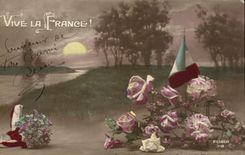 CPA Fantaisie Fleurs Vive la France !