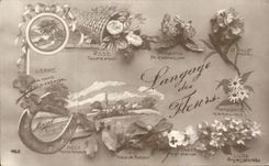 CPA Fantaisie langage des fleurs Fere a cheval Rose Myosotis Oeuillet Houx Gui Lilas 