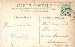 CPA Fantaisie Enfants Choux ou roses