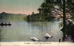 CPA Lyon the Lake with the Park of the Gold Swan Head