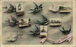 CPA Souvenir De Paris Hirondelles