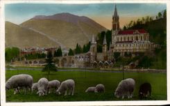 CPA Lourdes La Basilique et le Pic du Jer Moutons 