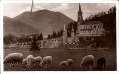 CPA Lourdes La Basilique et le Pic du Jer Moutons 