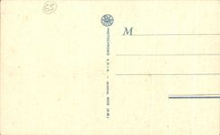 CPA Lourdes L'Espianade Pendant La Procession