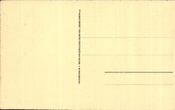 CPA Lourdes Le Basilique et le Gave