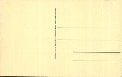 CPA Lourdes Le basilique Vue prise du Chateau Fort