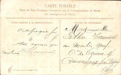 CPA Fantaisie Fleurs Doux souvenir