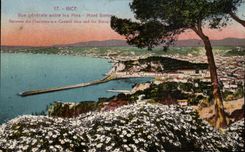 CPA Nice View between the Pines Mount Boron Between the Prick trees