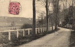 CPA Bernay the Walk of Bouffey Wood