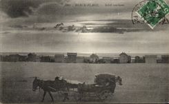 CPA Berck Plage Soleil Couchant Ane Donkey 