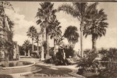 CPA Lisboa Jardin de S Pedro d'Aicantara