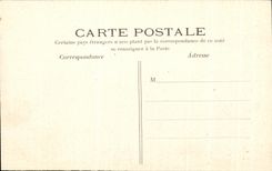 CPA Versailles Les Parterres le Jour des Grandes Eaux