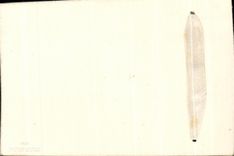 CPA Merry Christmas Happy New Year Christmas