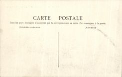 CPA Chateau de Chastellux Les Cygnes