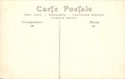 CPA Pau the Castle Eastern Frontage