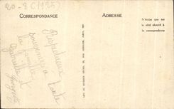 CPA Lourdes Vue d'ensemble de la Basilique vue du Chateau Fort