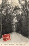 CPA Foret De Chantilly Avenue des Aigles