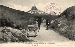 CPA Auvergne Arrivee Au Sommet du Puy de Dome Ane Donkey