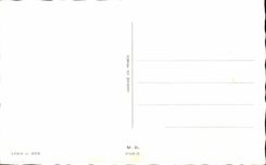 CPA Et que dites Vous de ce trophee de Mammouth Superbe Chasseur Chasse