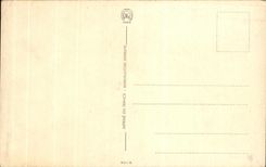 CPA Les Gemeaux Tous vos sens sont domines par l'esprit Zodiaque