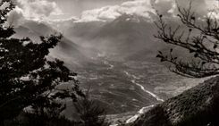 CPA Toute La France Jove Pau Lourdes Le Pibeste Valle d'Argeles vue du sous bois 