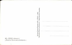 CPA Rodez Gate and square of the cathedral