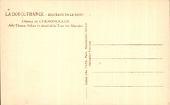 Los castillos suaves de CPA Francia del castillo de Francia de Chenonceaux se van volando a Thomas Bolier y detalle de la torre de las marcas
