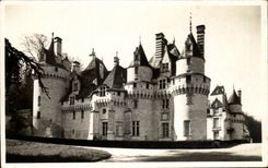 CPA Rigny Use Le Chateau Donjon 