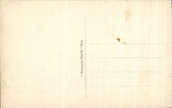 CPA Paris el jardin de tileries y Arc De Triomphe del carrusel del Louvre