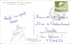 CPA Grindelwald Am Wag n Bussalp Finsteraarhorn und kl Fiescherhorn 