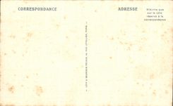 CPA Biarritz Le Chalet Basque et le Chaine des Pyrenees 