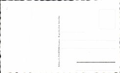 Swiss CPA Geneva Swans