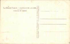 CPA Soft France Loire ch4ateau Chateau De Chinon