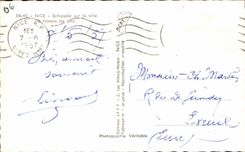 CPA Nice Escaped on the city through the pines