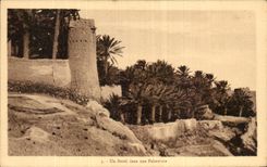 CPA Un Bordj Dans Une Palmeraie Algerie 