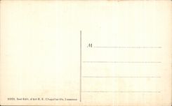 CPA Nyon Et Le Mont Blanc