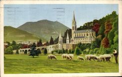 CPA Lourdes La Basilique Vue de La Prairie de la Grotte Moutons 