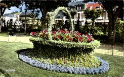 CPA La Bourboule Capitale de I'Allergie Corbeille de fleurs dans le parc