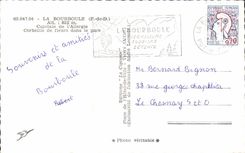 CPA La Bourboule Capitale de I'Allergie Corbeille de fleurs dans le parc