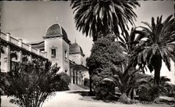 CPA Hyeres Le Casino et les Jardins