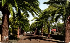 CPA Dimensions Sanary Azure On Mer Avenue De Port Issol