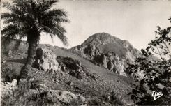 CPA Ain Salah Tadjmont Alger