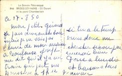 CPA La Savoie Pittoresque Brides Les Bains Le Doron et le Pont Chamberlain